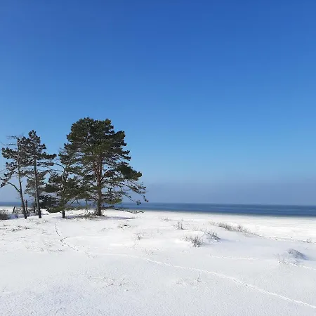 펜션 Danuta- Wiselka, Direct At National Park, Big Garden, 4 Bedrooms, Private Sauna *