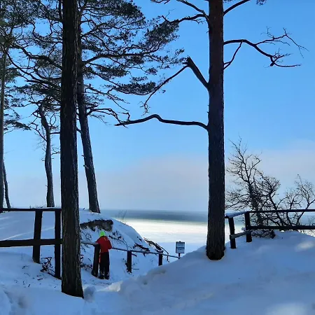 Danuta- Wiselka, Direct At National Park, Big Garden, 4 Bedrooms, Private Sauna Feriehus