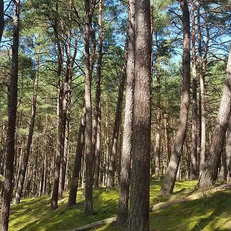 Danuta- Wiselka, Direct At National Park, Big Garden, 4 Bedrooms, Private Sauna Wisełka