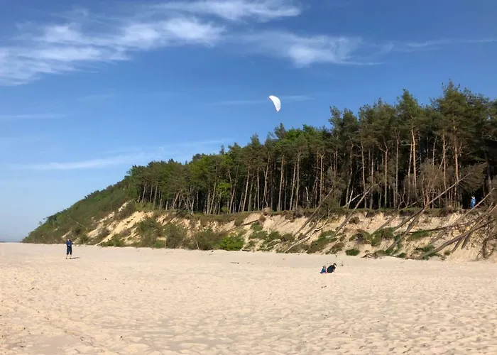 Danuta- Wiselka, Direct At National Park, Big Garden, 4 Bedrooms, Private Sauna 度假居